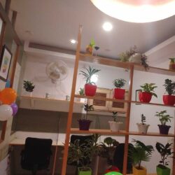 office3